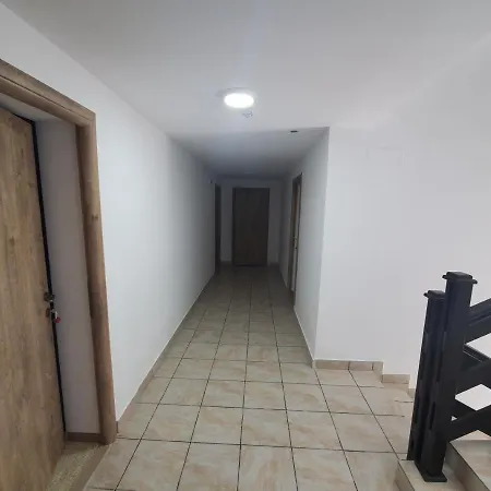Vila Alina New B&B 술리나